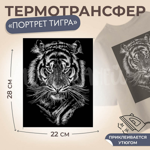 Термотрансфер «Портрет тигра», 22 × 28 см, 7339267 Купить Термотрансфер «Портрет тигра», 22 × 28 см, 7339267 в Калининграде